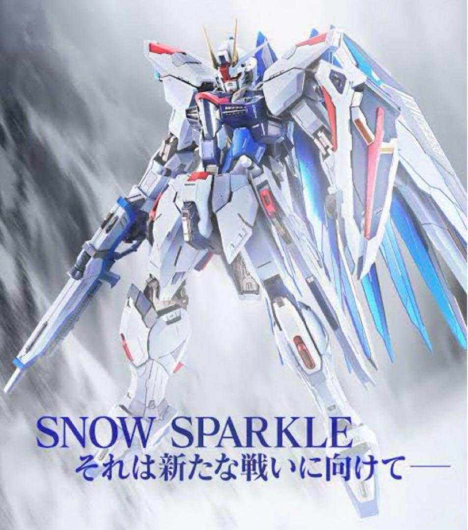 METAL BUILD フリーダムガンダムコンセプト2 スノースパークル