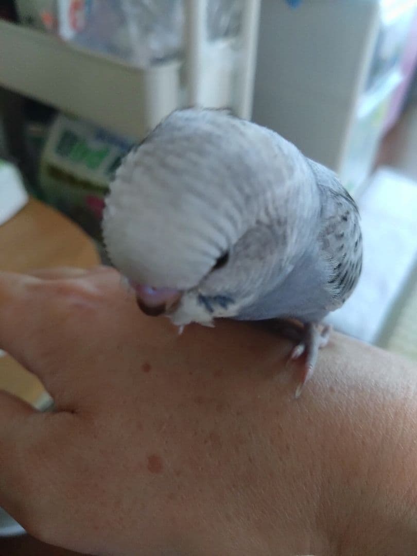 なっちゃん様·͜·ᰔᩚ