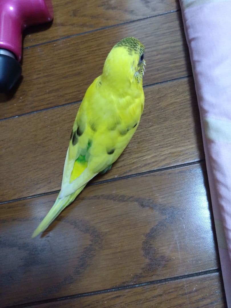 なっちゃん様·͜·ᰔᩚ