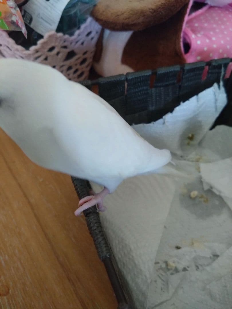 なっちゃん様·͜·ᰔᩚ