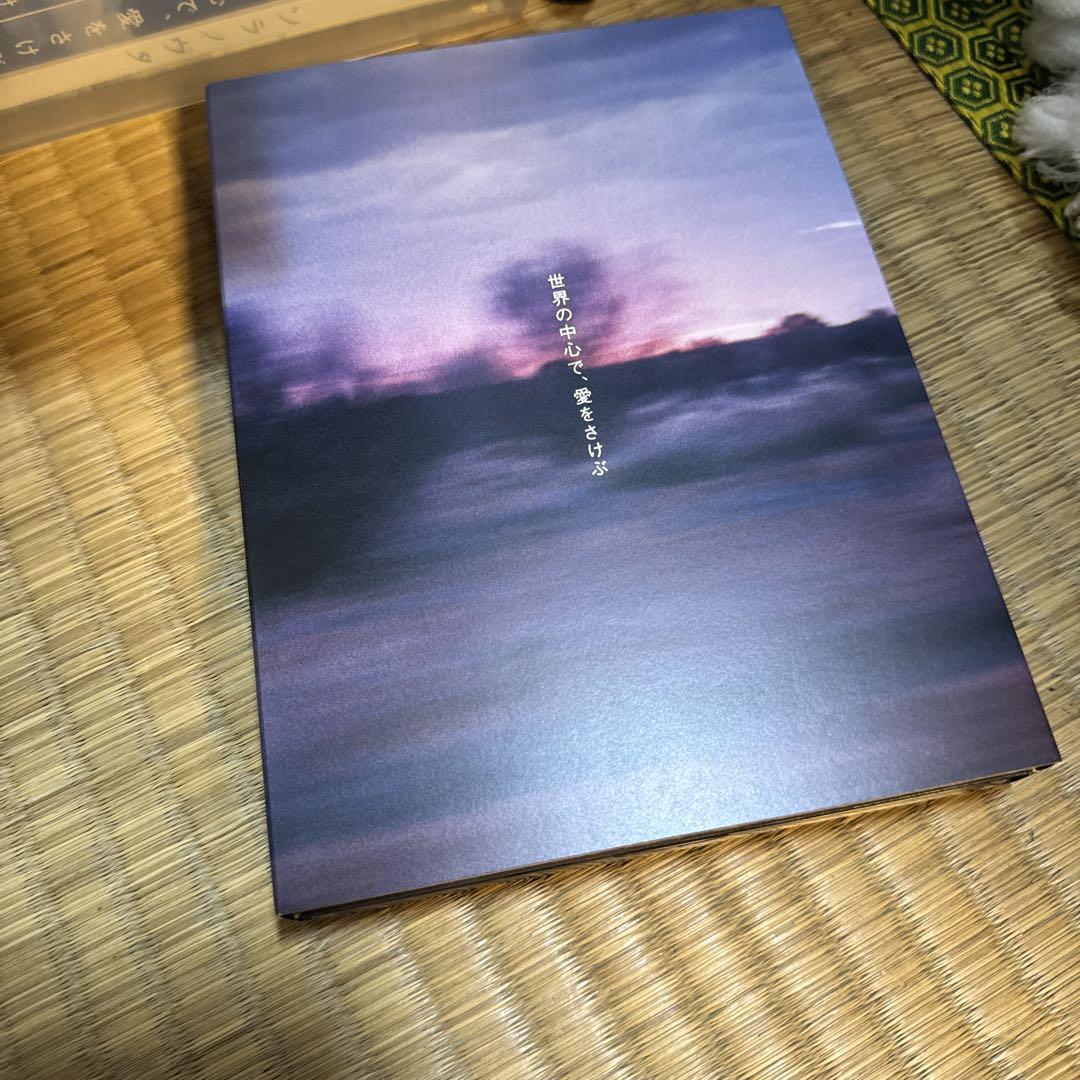 世界の中心で,愛をさけぶ 完全版 DVD-BOX未開封と映画版2作品セット