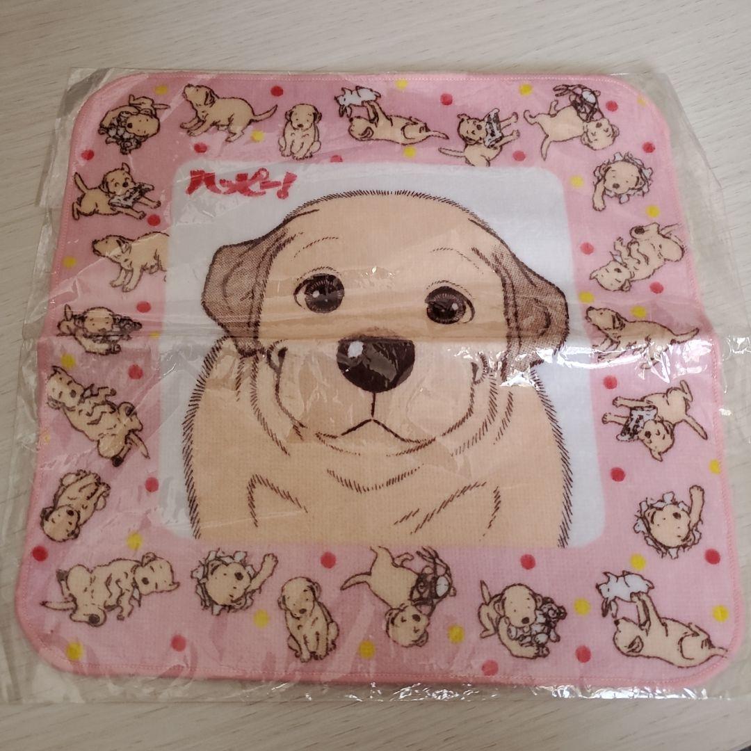 ハッピー 波間信子 ミニタオル 盲導犬