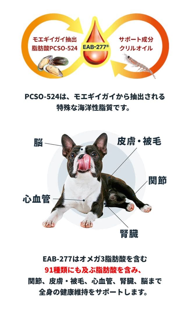 VetZ PetZ アンチノール 90粒 VetZ PetZ アンチノール 90粒