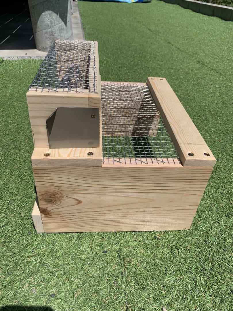 スズメバチ捕獲器　2個