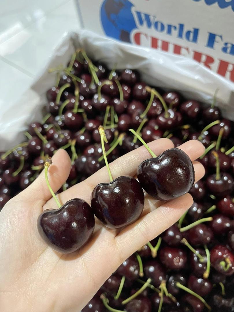 ファッションデザイナー 激安 （特大） 4J 2.5kg空輸anh チェリー（桜桃）甘い！安い đào 果物