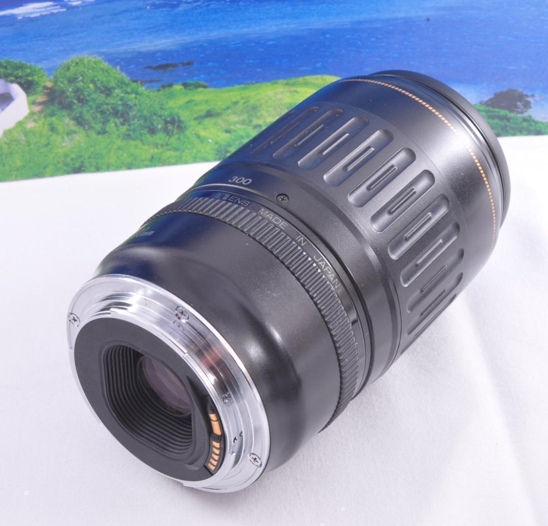 瞬間激写！永久保存 Canon キヤノン 望遠レンズEF100-300mm#4 永久保存、瞬間激写！Canon キヤノン 望遠レンズEF100-300mm#4