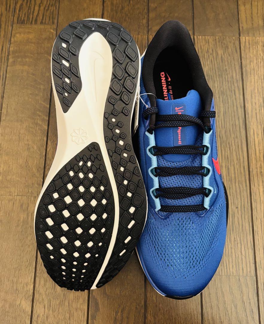 【新品】ナイキ ペガサス 41 ランニングシューズ25.0㎝　ブルー