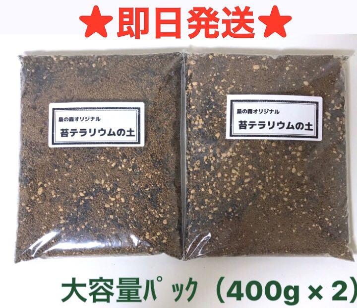 値下げ 苔テラリウム用ブレンド土 大容量パック 400g 2 L136 Rockymountradiator Com