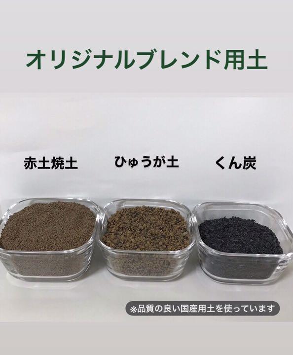 値下げ 苔テラリウム用ブレンド土 大容量パック 400g 2 L136 Rockymountradiator Com