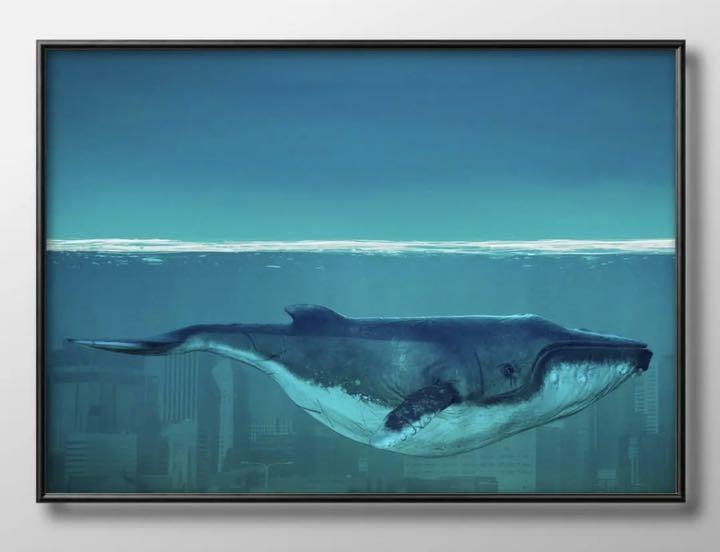 8057 A3アートポスター クジラ 鯨 ビンテージイラスト メルカリ 8057 A3アートポスター クジラ 鯨 ビンテージイラスト メルカリ