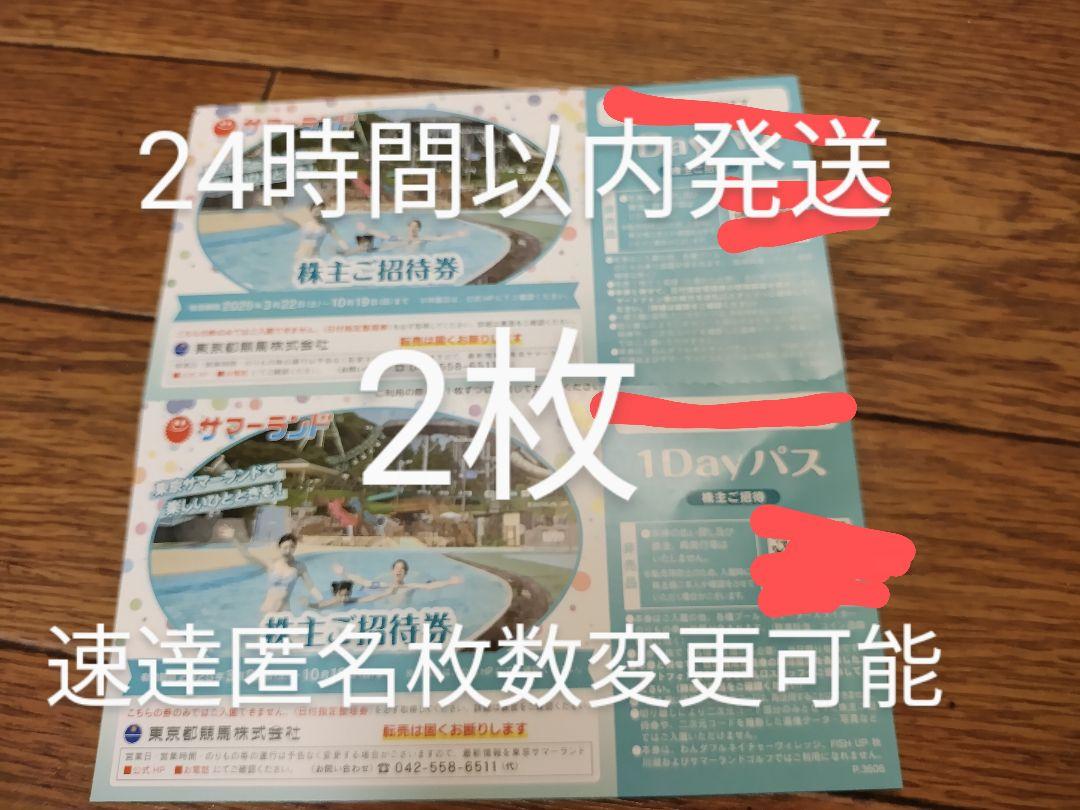 東京サマーランド株主ご招待券D2