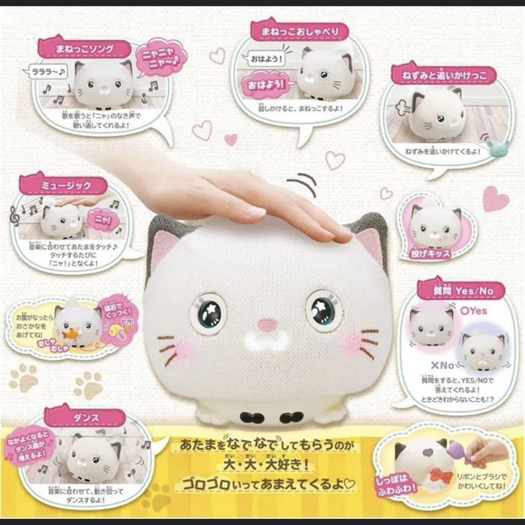 【早い者勝ち】ねころん with U　キミのことが大好き元気いっぱいの子ねこ!