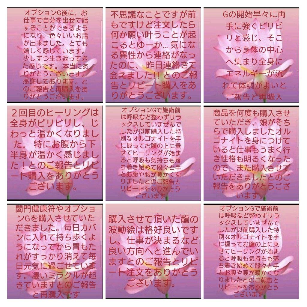 魅力UP☆わんちゃんオルゴナイト②（願い叶えるメモリーオイル封入）