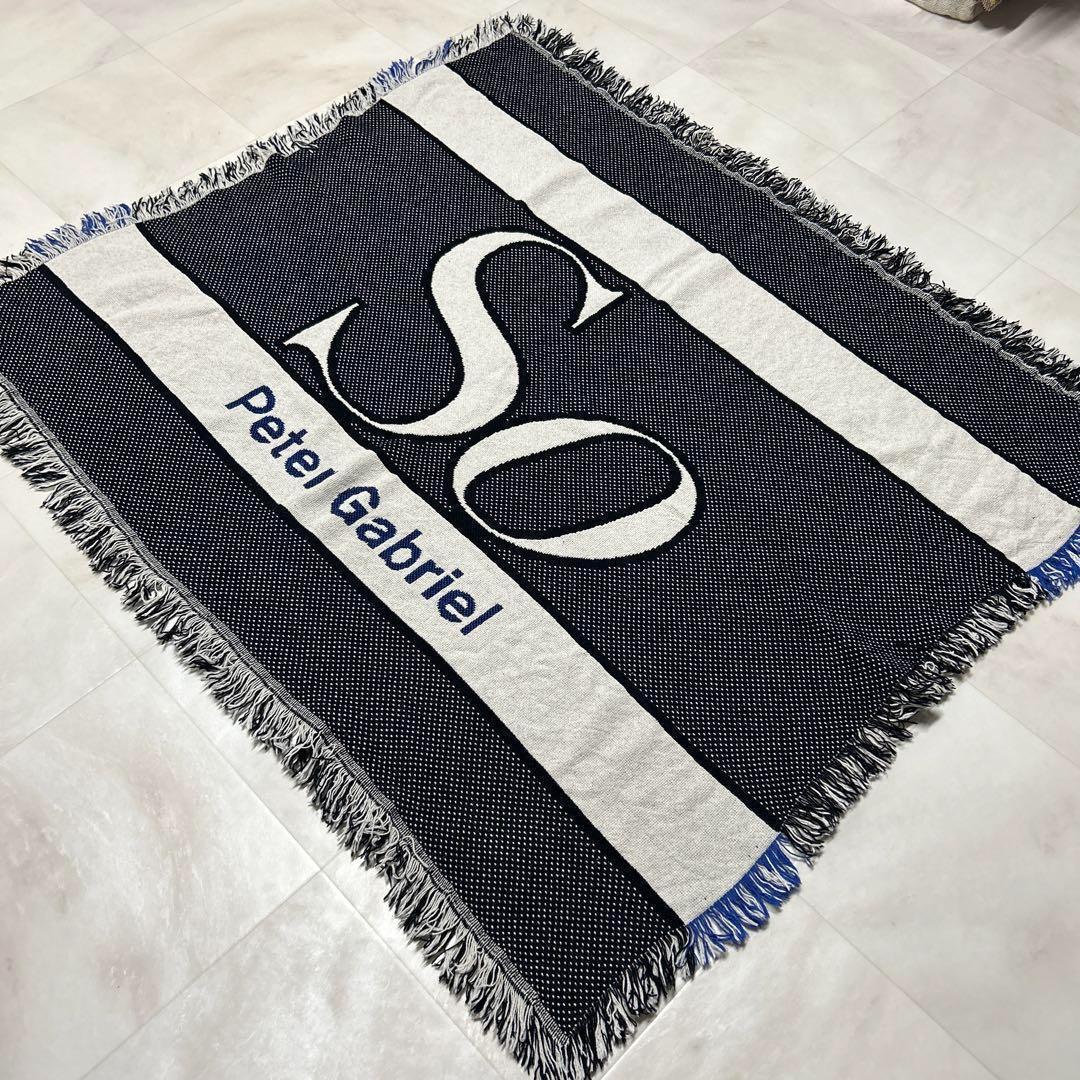 音楽　歌手　ピーターガブリエル　マルチカバー　ソファーカバー　125x108