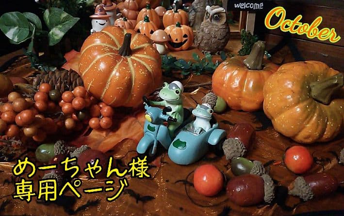 めーちゃん様専用ページ