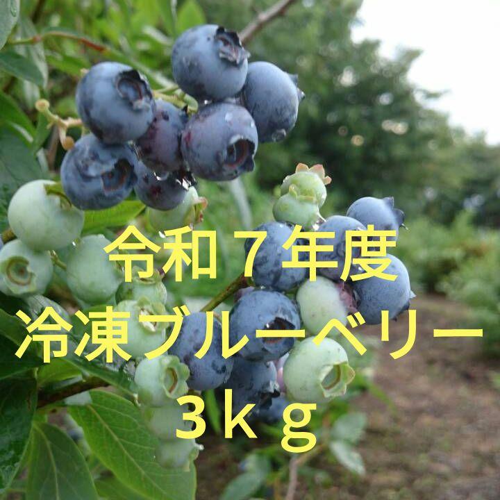 令和７年度冷凍ブルーベリー★3ｋｇ（送料込）