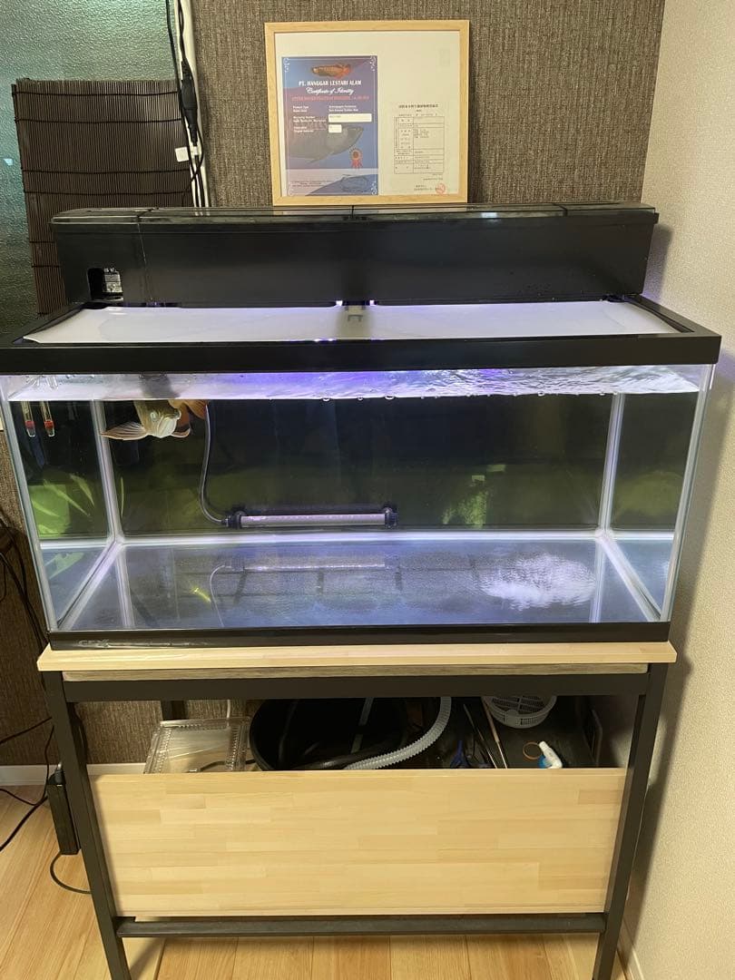 GEX 120cm 水槽 LED照明付き