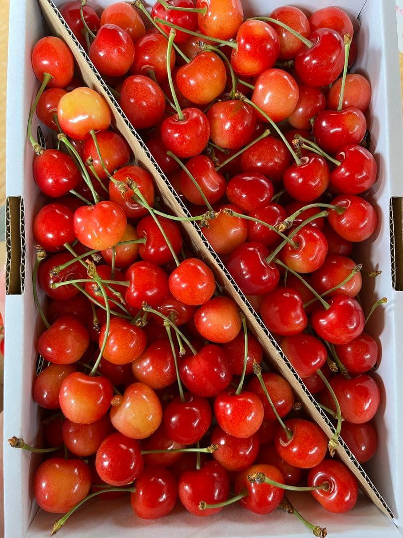 週末限定タイムセール》 ぽこにゃん様専用です 佐藤錦訳あり品 1kg