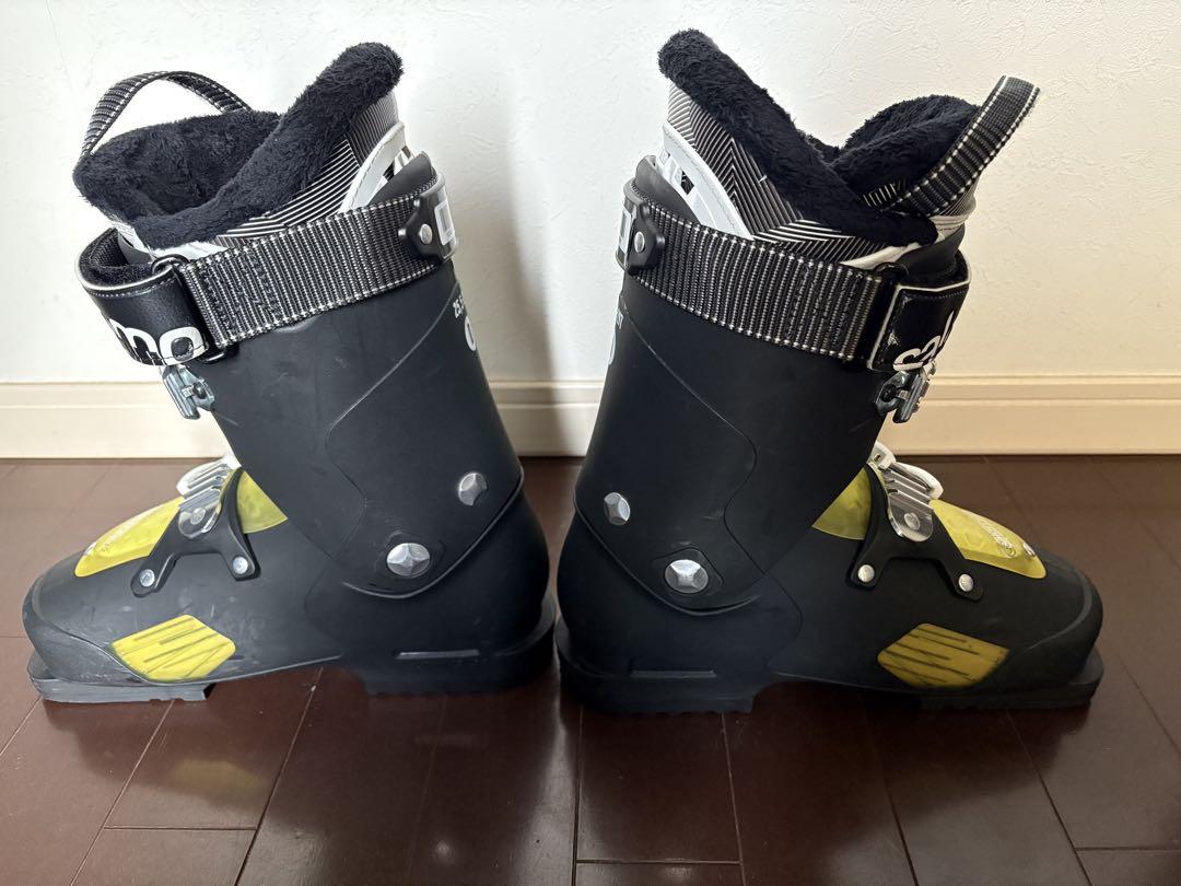 スキー Salomon focus 25cm/25.5cm