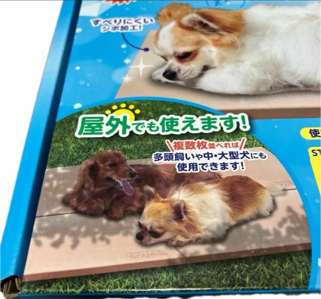 【8個】マルカン イヌ ひんやり素焼きプレート ペット 犬 ひんやり クール