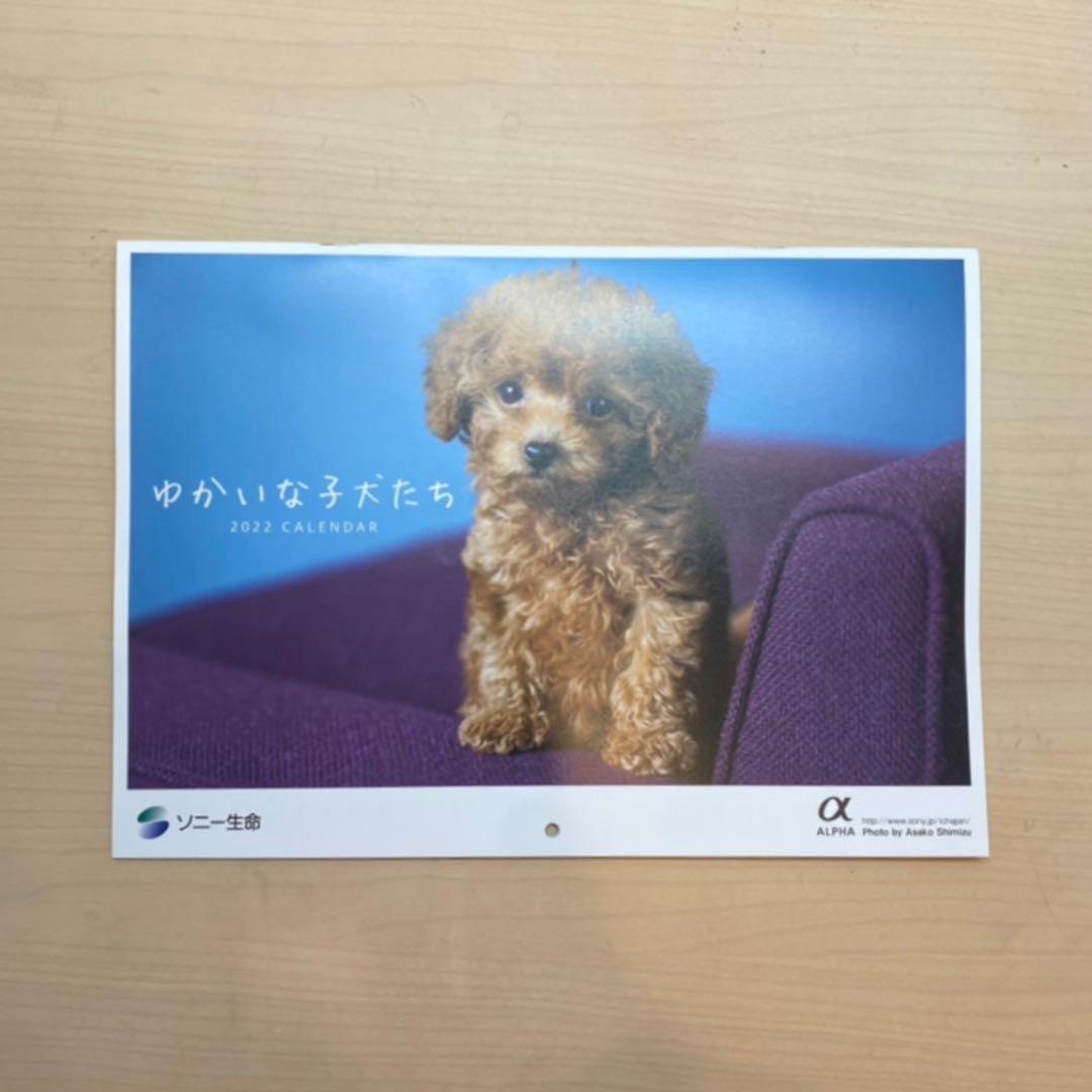 ソニー生命 22 芸能人愛用 カレンダー ゆかいな子犬たち ソニー生命 22 芸能人愛用 カレンダー ゆかいな子犬たち