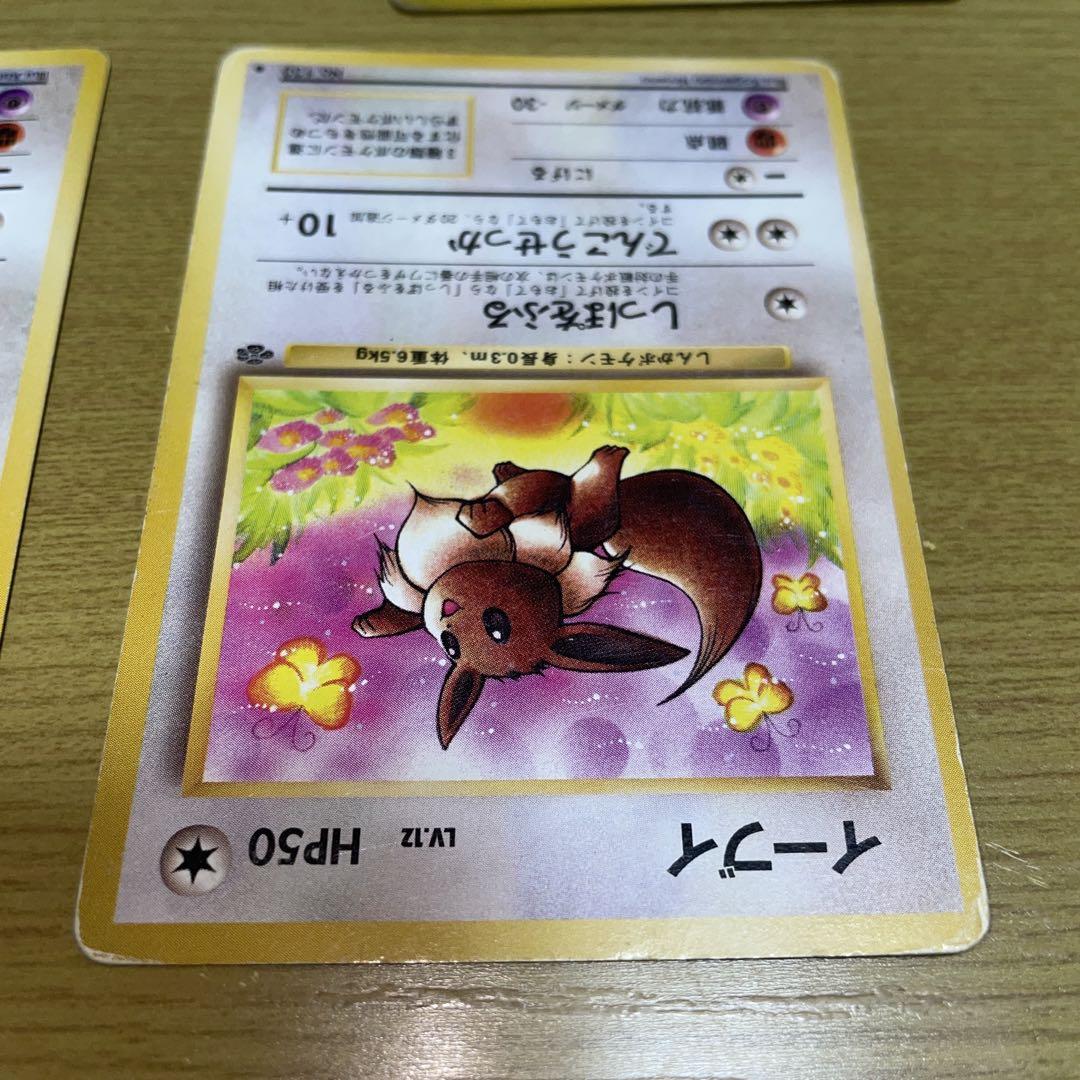 旧裏　イーブイ　進化セット①