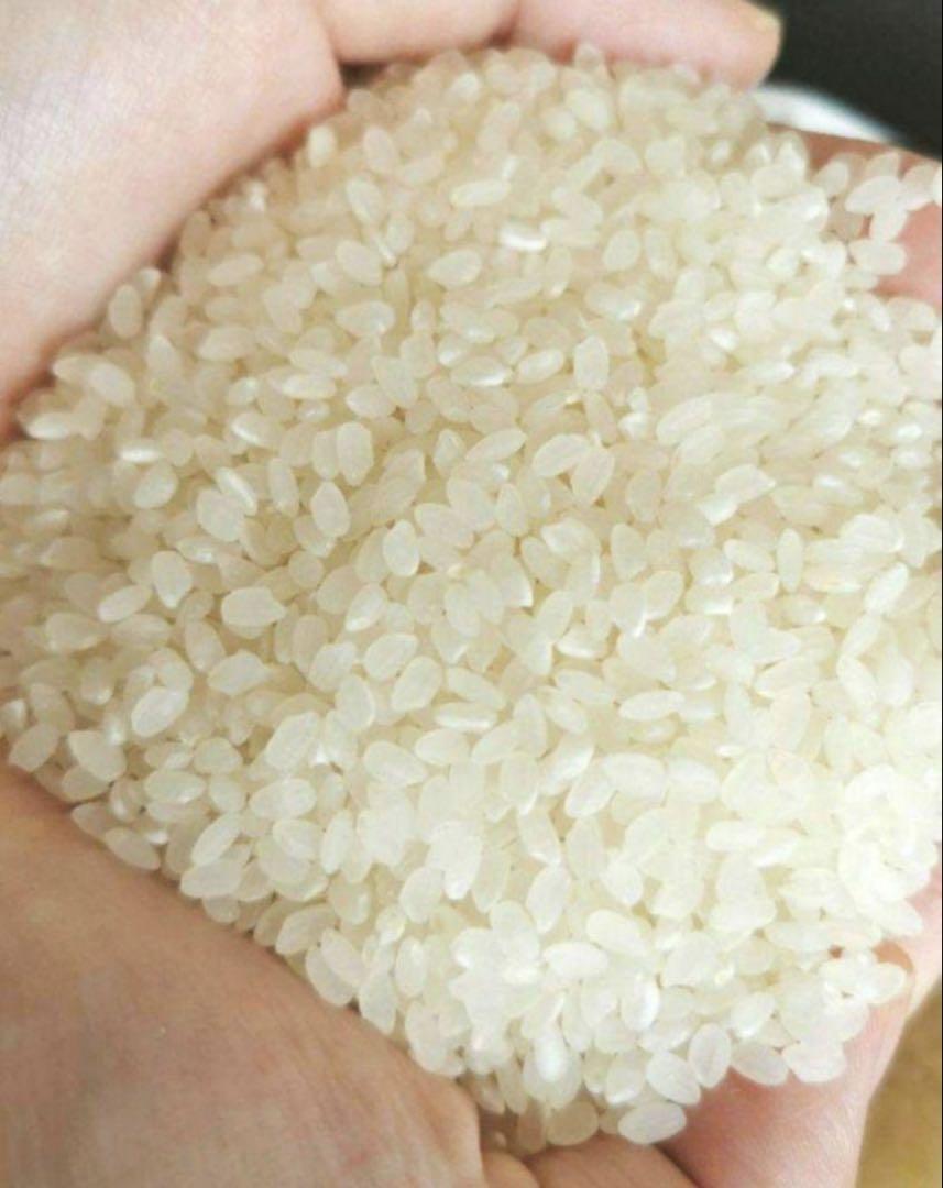 送料込み 精米済み 白米 20kg 6年度新米 佐賀県産米