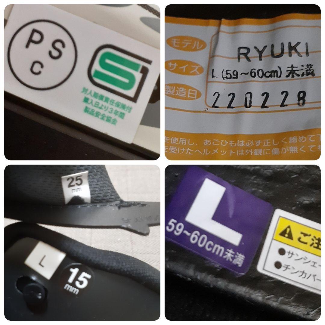 軽快＆高機能システムヘルメット　RYUKI ENERGY　ピンロックシート付
