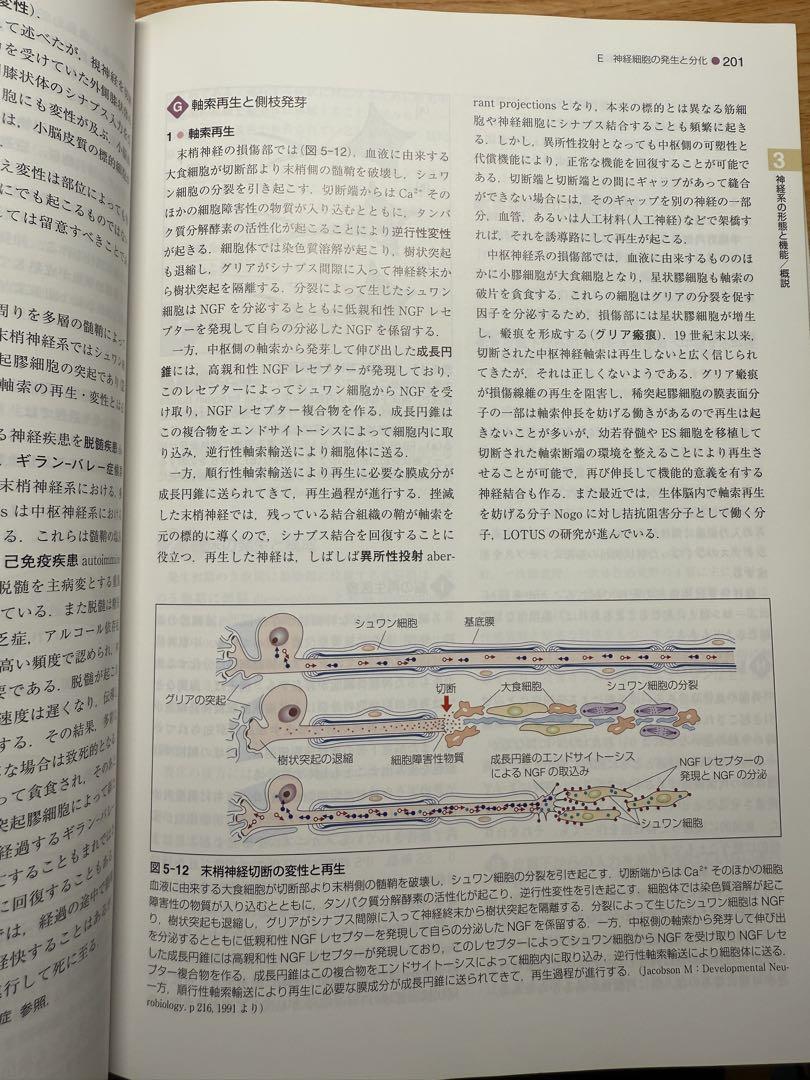 標準生理学 第9版 最新版 - 健康・医学オンライン ショップ