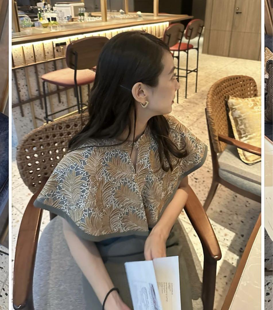 スーツ・フォーマル・ドレス ANDRESD embroidery cape dress