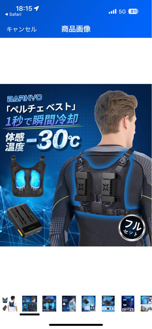 T4 ペルチェベスト