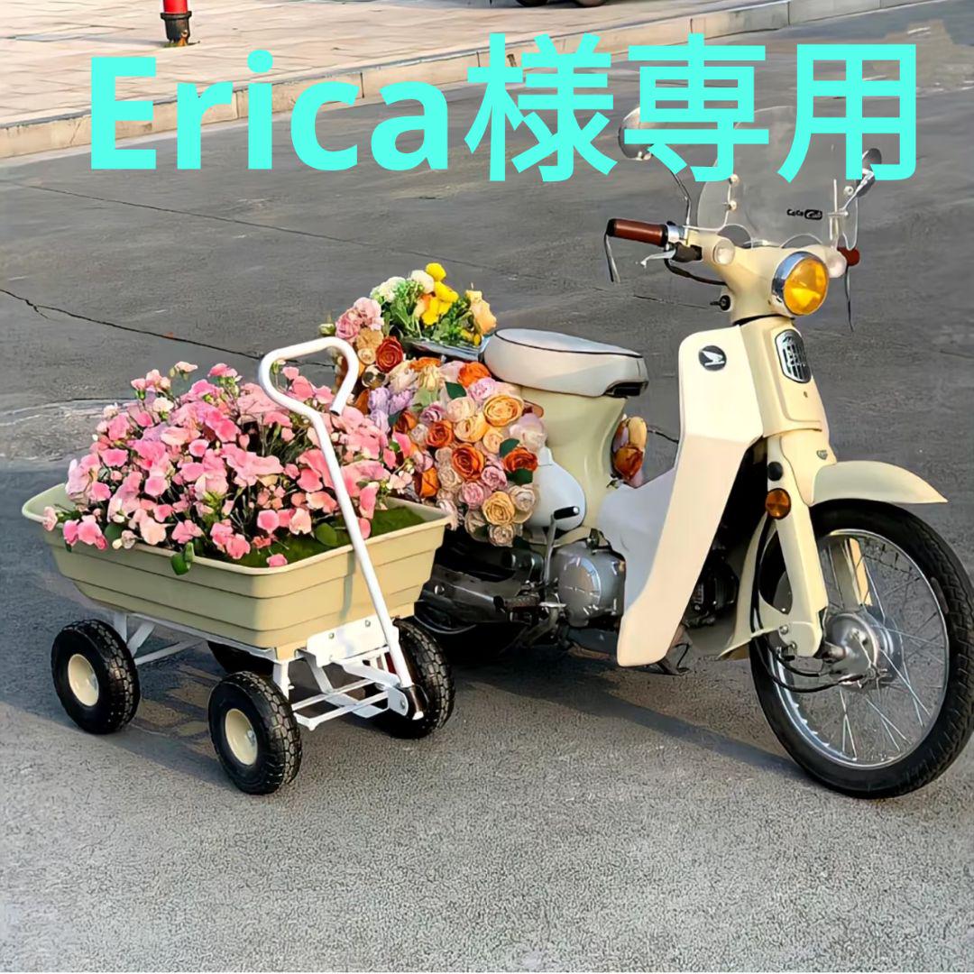 Erica様専用