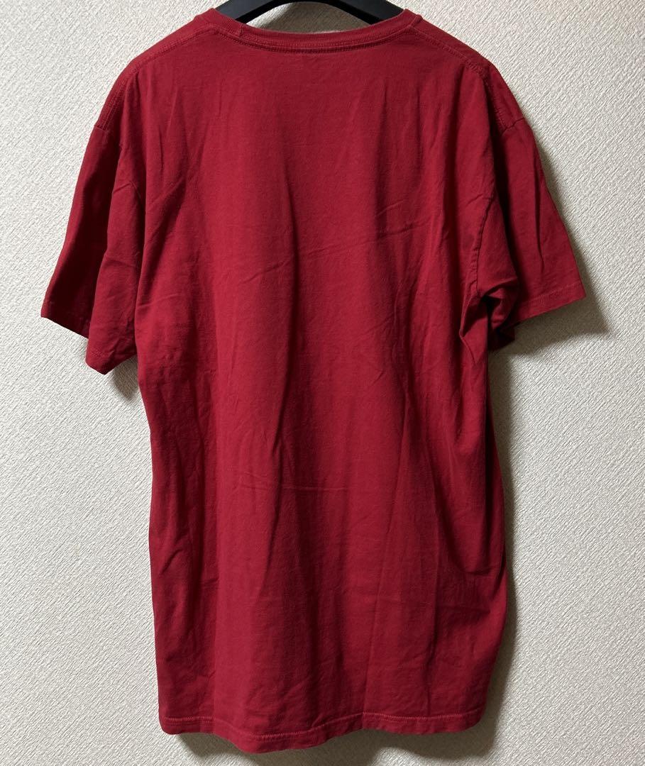 tultex ポケモン　Tシャツ