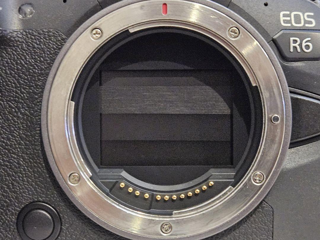 Canon EOS R6 ミラーレス一眼 本体　おまけあり