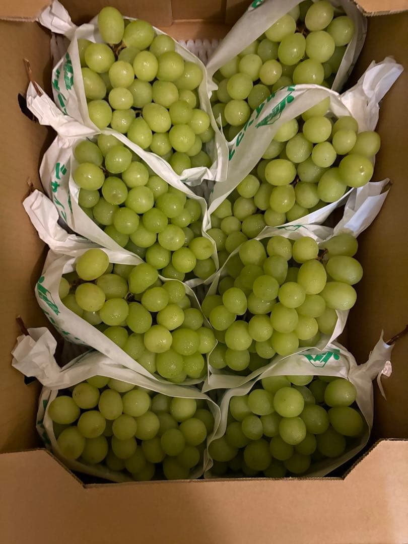 山梨県産　特大　シャインマスカット　8房セット　5kg