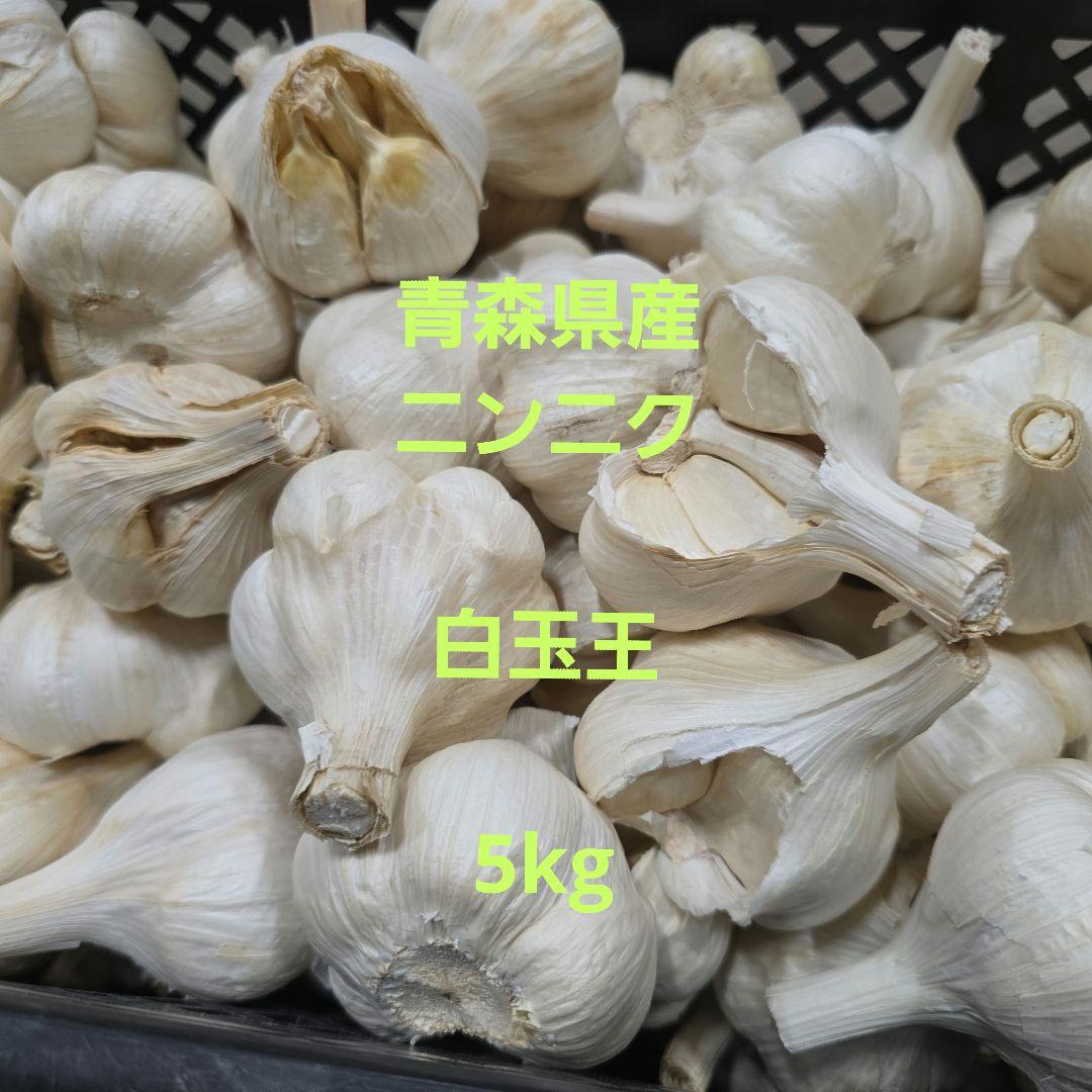 青森県産ニンニク白玉王L サイズ5kg リサイクル箱