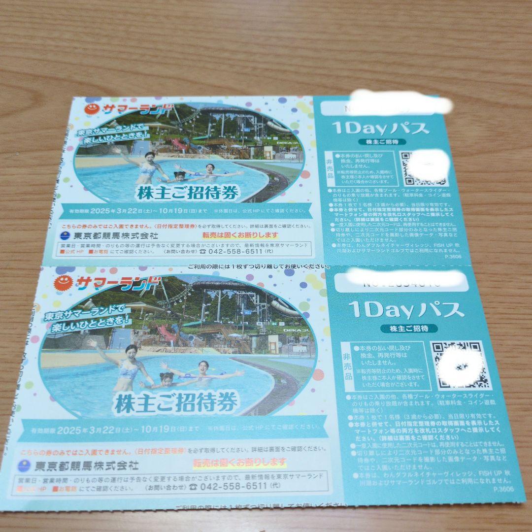 サマーランド 1Dayパス 株主ご招待券 2枚プール