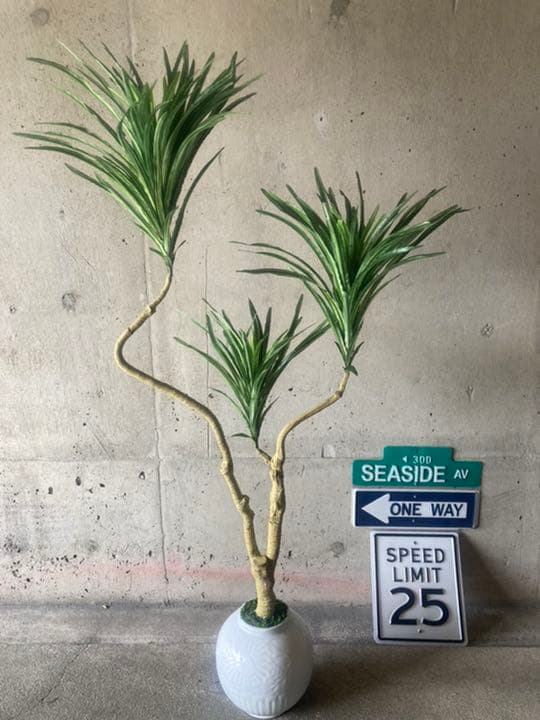 独特な 植物 観葉植物 光触媒 人工観葉植物 ウォールグリーン フェイク フラワー コンシンネg Skaffrealestate Com 独特な 植物 観葉植物 光触媒 人工観葉植物 ウォールグリーン フェイク フラワー コンシンネg Skaffrealestate Com