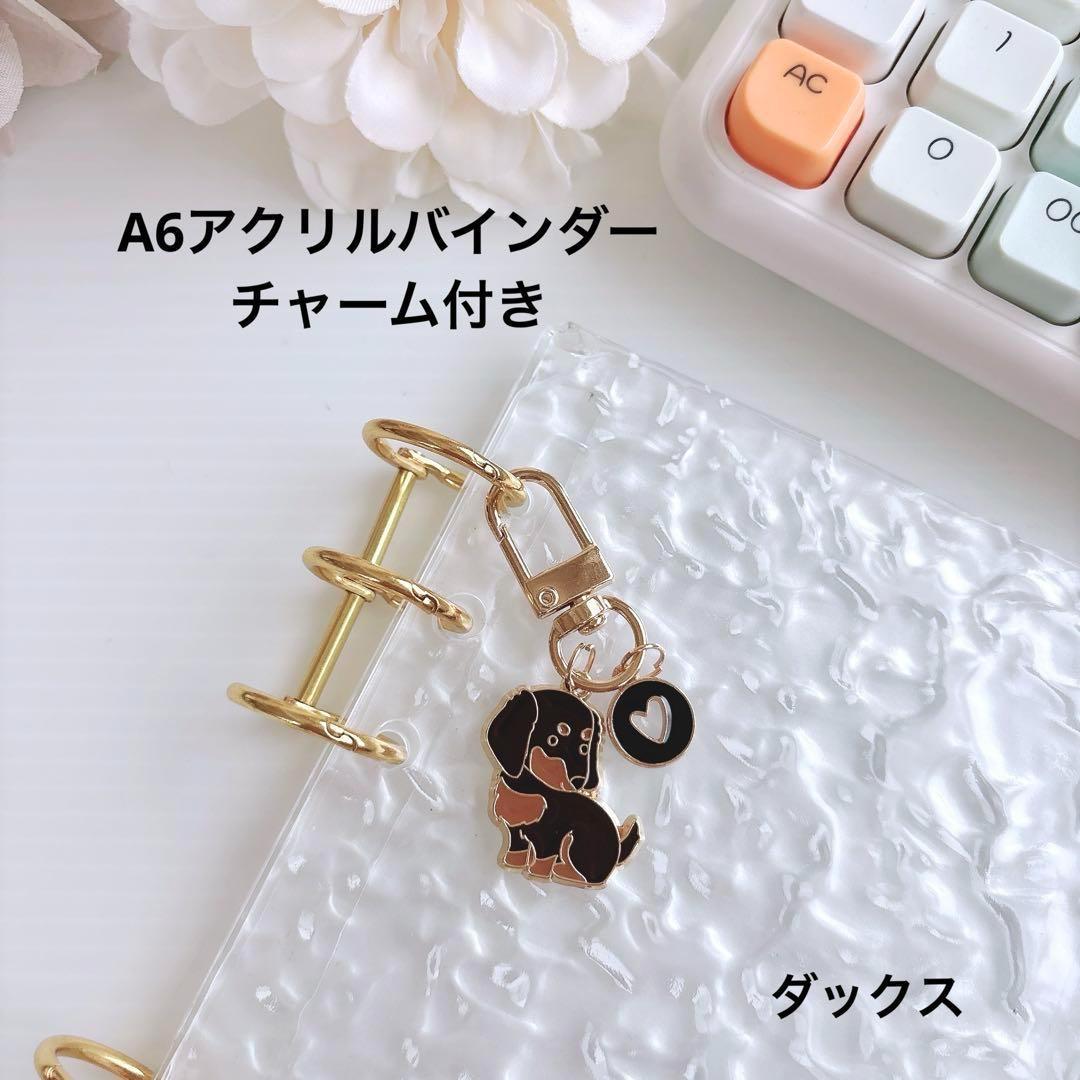 アクリルバインダー A6 家計管理 韓国 バインダー貯金 saving