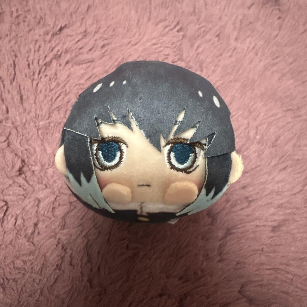 時透無一郎 鬼滅の刃 もちころりん 時透 無一郎 ぬいぐるみ