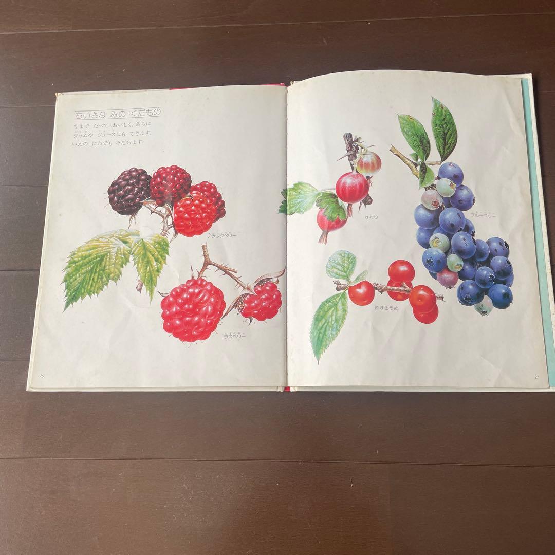 【お買い得大量絵本】キンダーブックしぜんシリーズ104冊