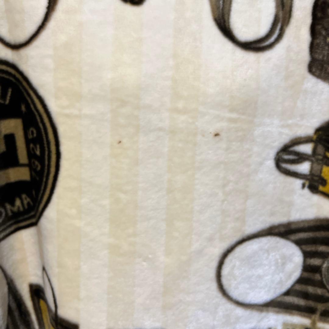 FENDIバッグ柄ブランケット 毛布Fendi