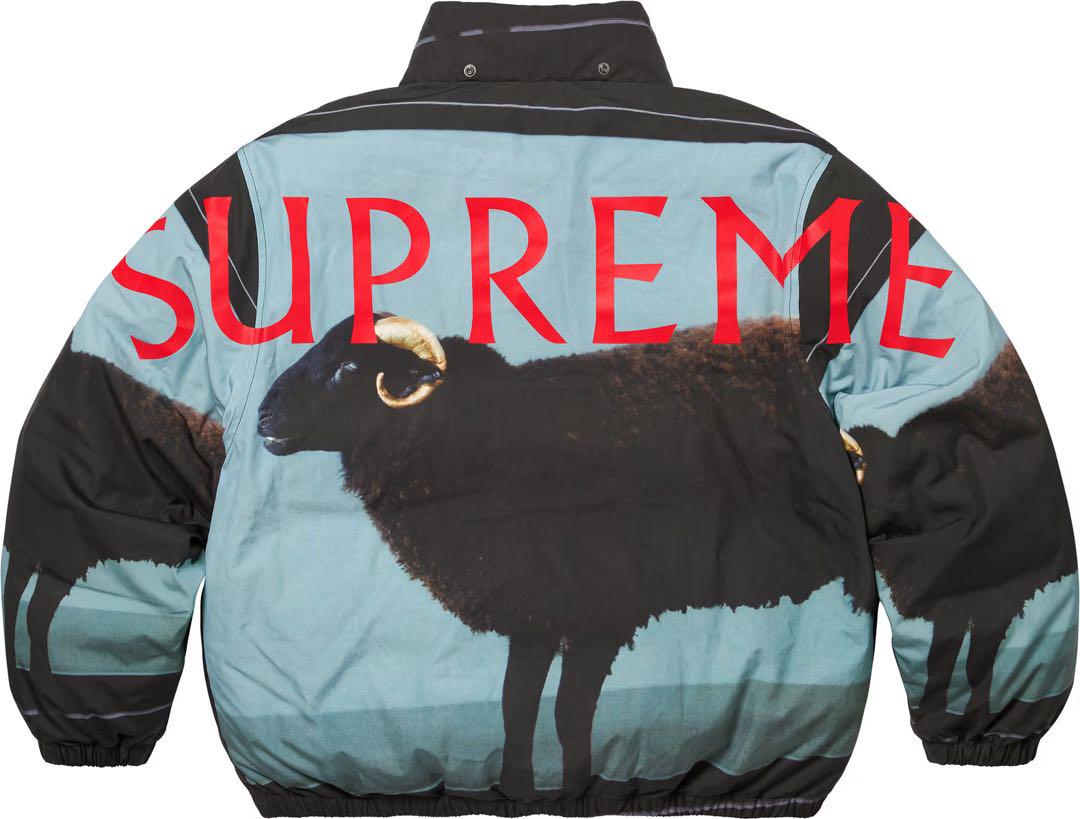 ジャケット・アウター Supreme Damien Hirst Down Puffer Jacket