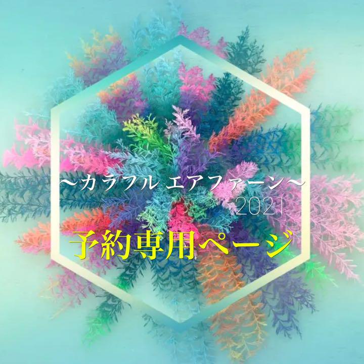 商品を編集 カラフル エアファーン ❤︎2021【予約専用 お声掛けページ】