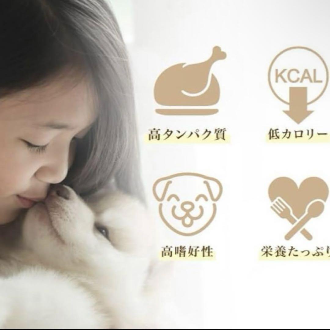 Afreschi Srl 犬 おやつ ターキーアキレス ロング 七面鳥すじ×3