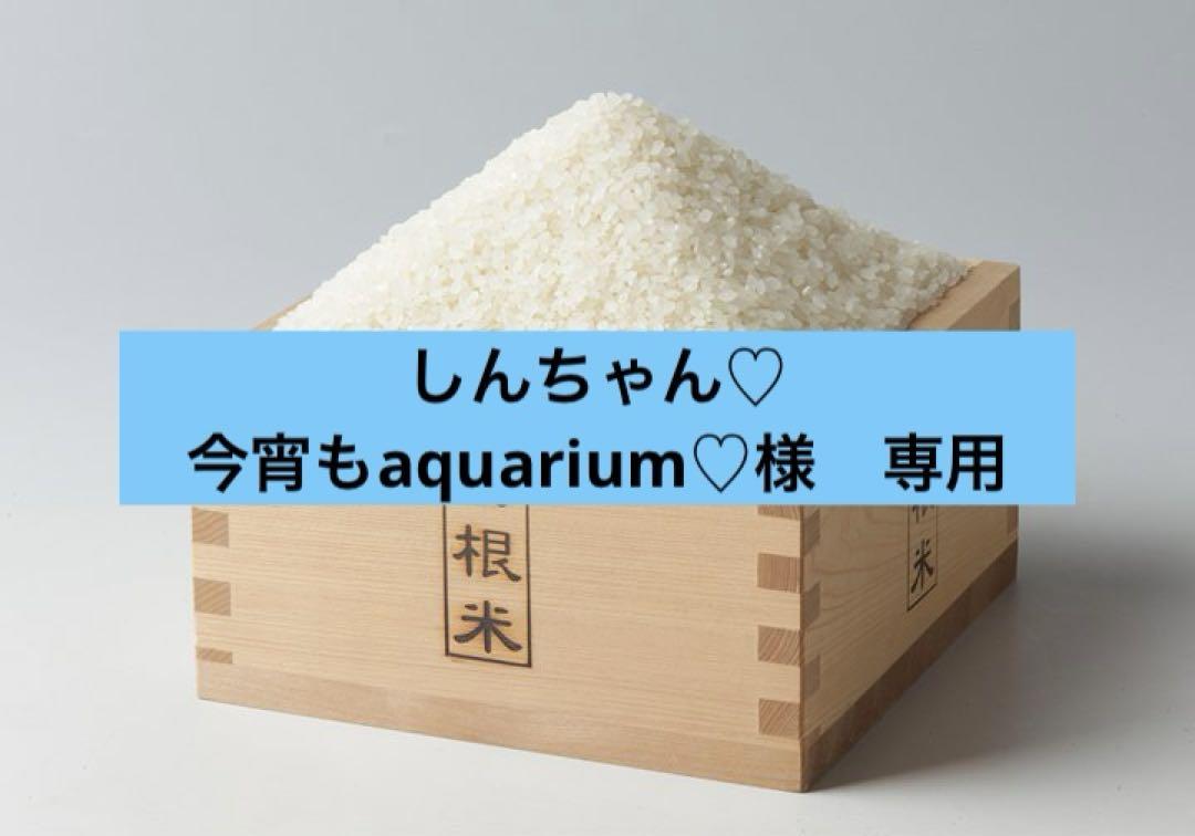 令和6年産　島根県　キヌムスメ 10kg 無洗米　精米