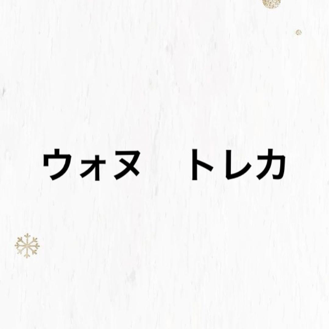 seventeen ウォヌ　トレカ