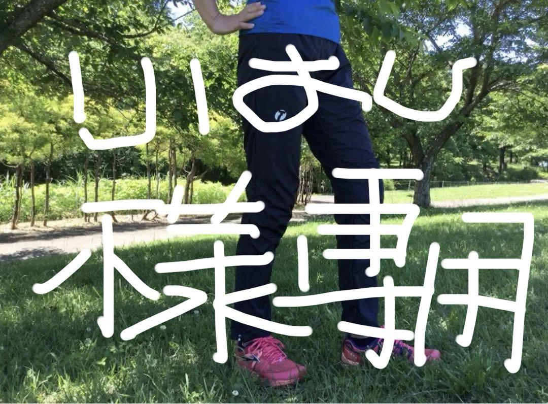 【値下げ】TRIMTEX Adapt Pants L寸　黒