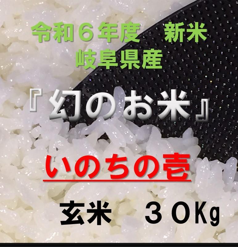 幻のお米 令和6年度『いのちの壱』 岐阜県産 新米 玄米 30kg 送料無料 画像1