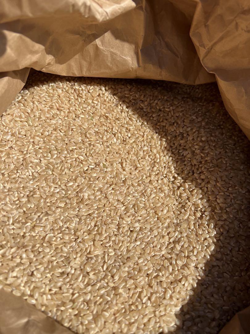 滋賀県産 近江米 玄米30kg 令和6年産